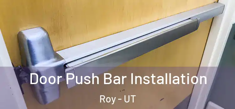 Door Push Bar Installation Roy - UT