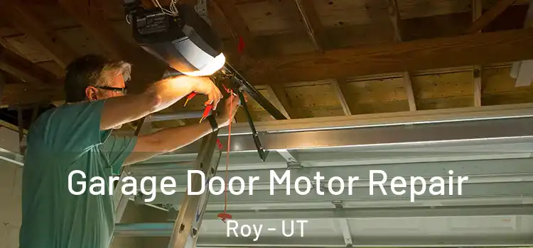  Garage Door Motor Repair Roy - UT