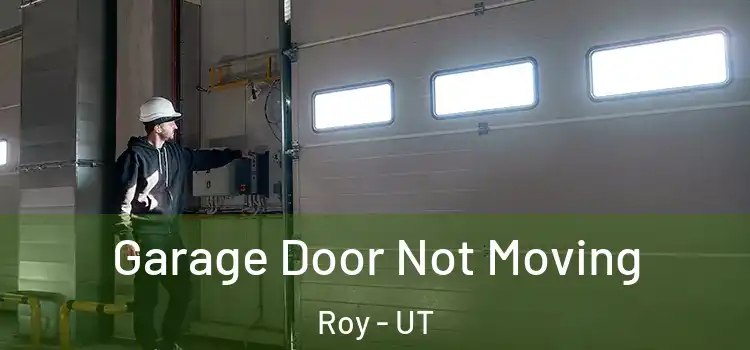  Garage Door Not Moving Roy - UT