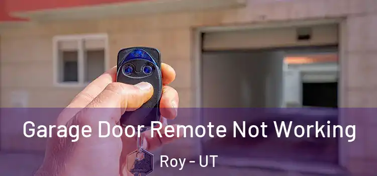  Garage Door Remote Not Working Roy - UT