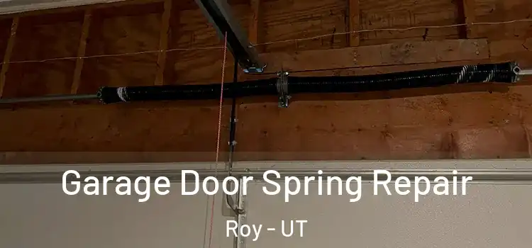  Garage Door Spring Repair Roy - UT