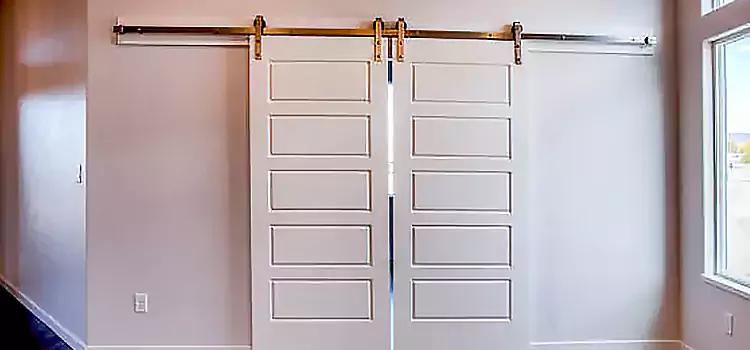 Glass Barn Door with Installation Hardware Kit Roy