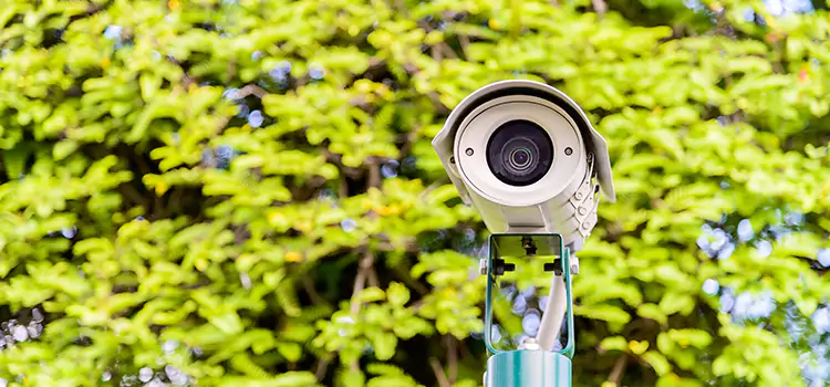 Advanced Surveillance Solutions for Every Need in Roy