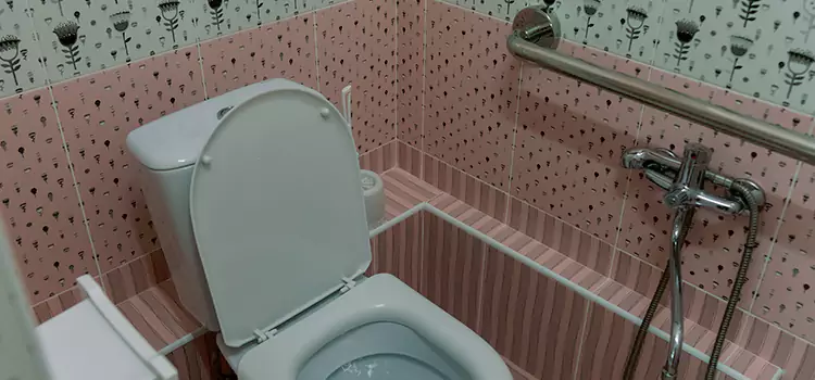 Meeting Diverse Needs With Accessible Restroom Solutions in Roy, UT