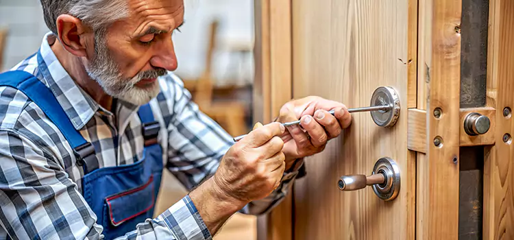 Mortise Replacement Lock Roy