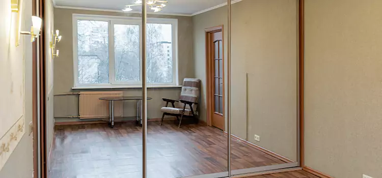 Mirror Closet Door Roller Replacement Roy