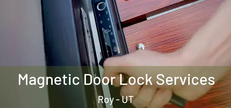 Magnetic Door Lock Services Roy - UT